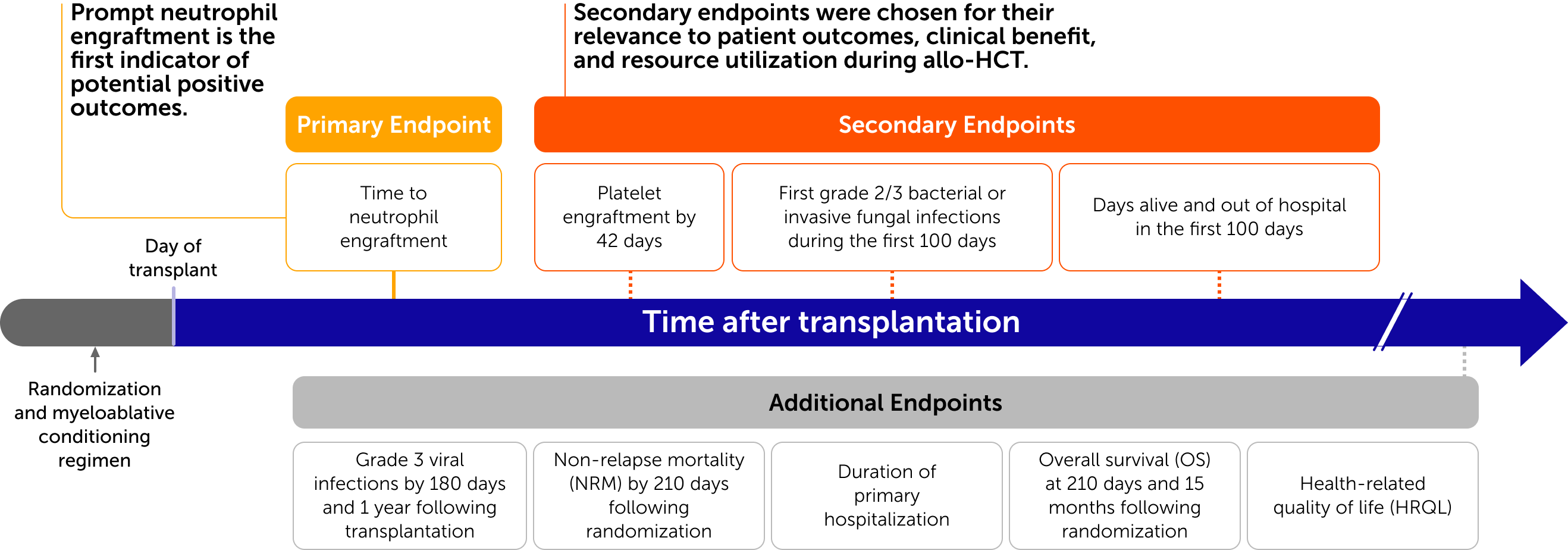 Timeline of various endpoints studied in the Omisirge phase 3 trial. 